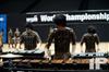 2014 WGI World Championships - Center Grove HS
