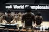 2014 WGI World Championships - Center Grove HS