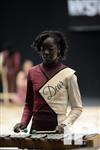 2014 WGI World Championships - Clinton HS