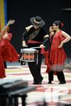 2014 WGI World Championships - Hilton HS