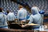 2014 WGI World Championships - Lebanon HS
