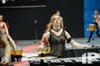 2014 WGI World Championships - Matrix Indoor Percussion Ensemble