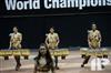 2014 WGI World Championships - Rowland HS