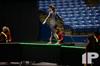 2014 WGI World Championships - Walled Lake Central HS