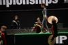 2014 WGI World Championships - Walled Lake Central HS