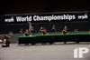 2014 WGI World Championships - Walled Lake Central HS