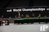 2014 WGI World Championships - Walled Lake Central HS