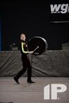 2014 WGI World Championships - Walled Lake Central HS