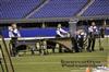 2014 DCI Championships - Blue Saints Drum & Bugle Corps