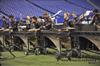 2014 DCI Championships - Gold Drum and Bugle Corps