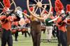 2014 DCI Championships - Music City Drum & Bugle Corps