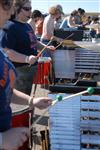 2007 WGI World Championships - Walled Lake Percussion Ensemble